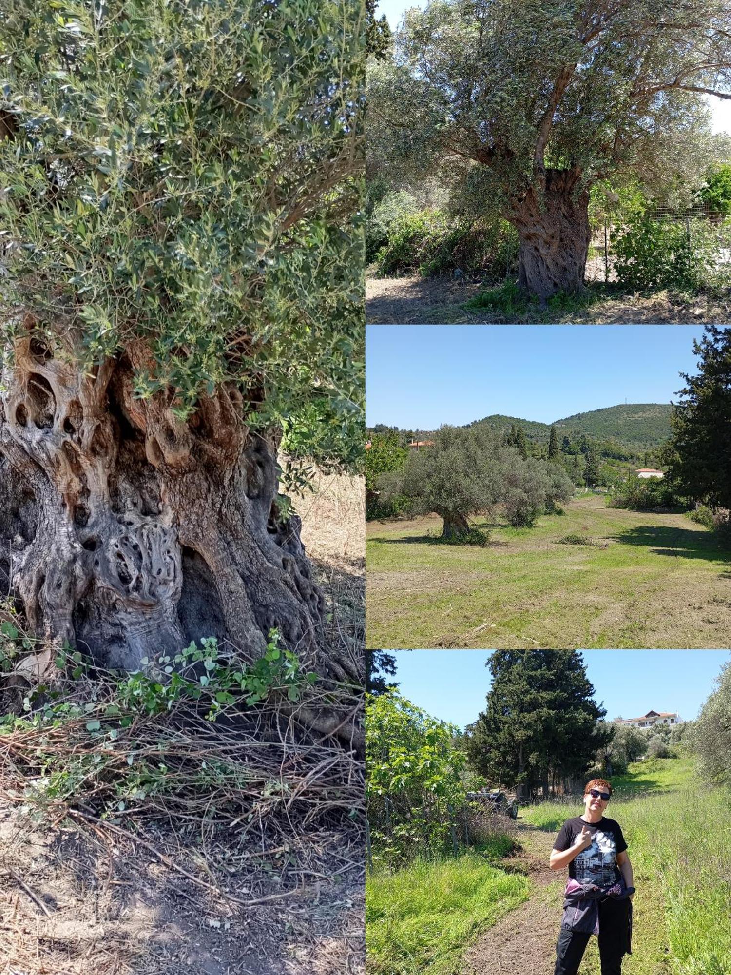 La Nature Konistres 外观 照片