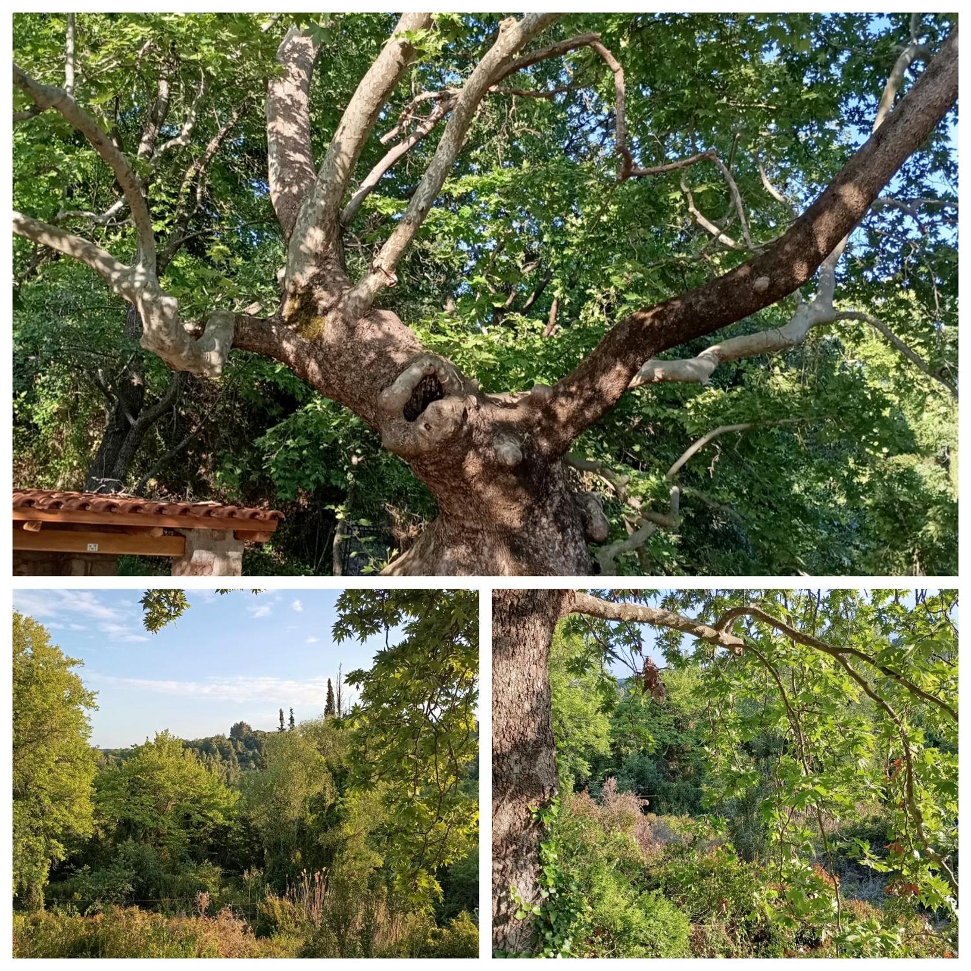 La Nature Konistres 外观 照片